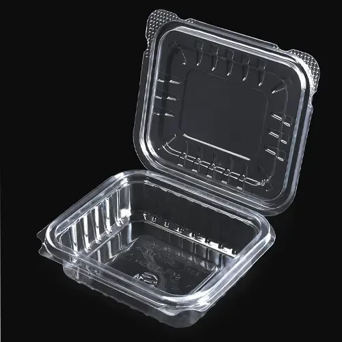 Disposable Plastic Container